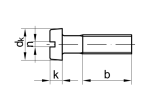 Cylinder screw with slot DIN 84 - M6 x 40 - Polyamid