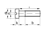 Cylinder screw with slot DIN 84 - M4 x 40 - Polyamid